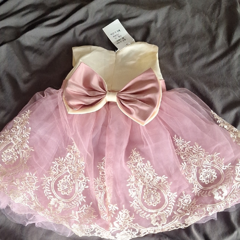 Pink and Cream Embroidered Tulle Dress - Picture 2 of 2